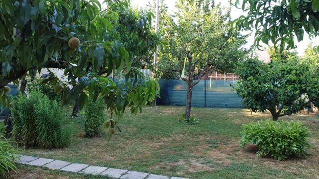 Ilona Apartmanok Balatonboglár Buitenkant foto